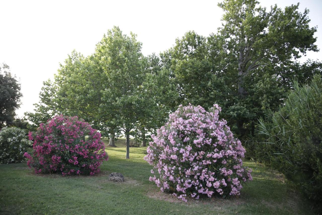 Agriturismo La Fonte Di San Girio Pensionat Potenza Picena Exteriör bild