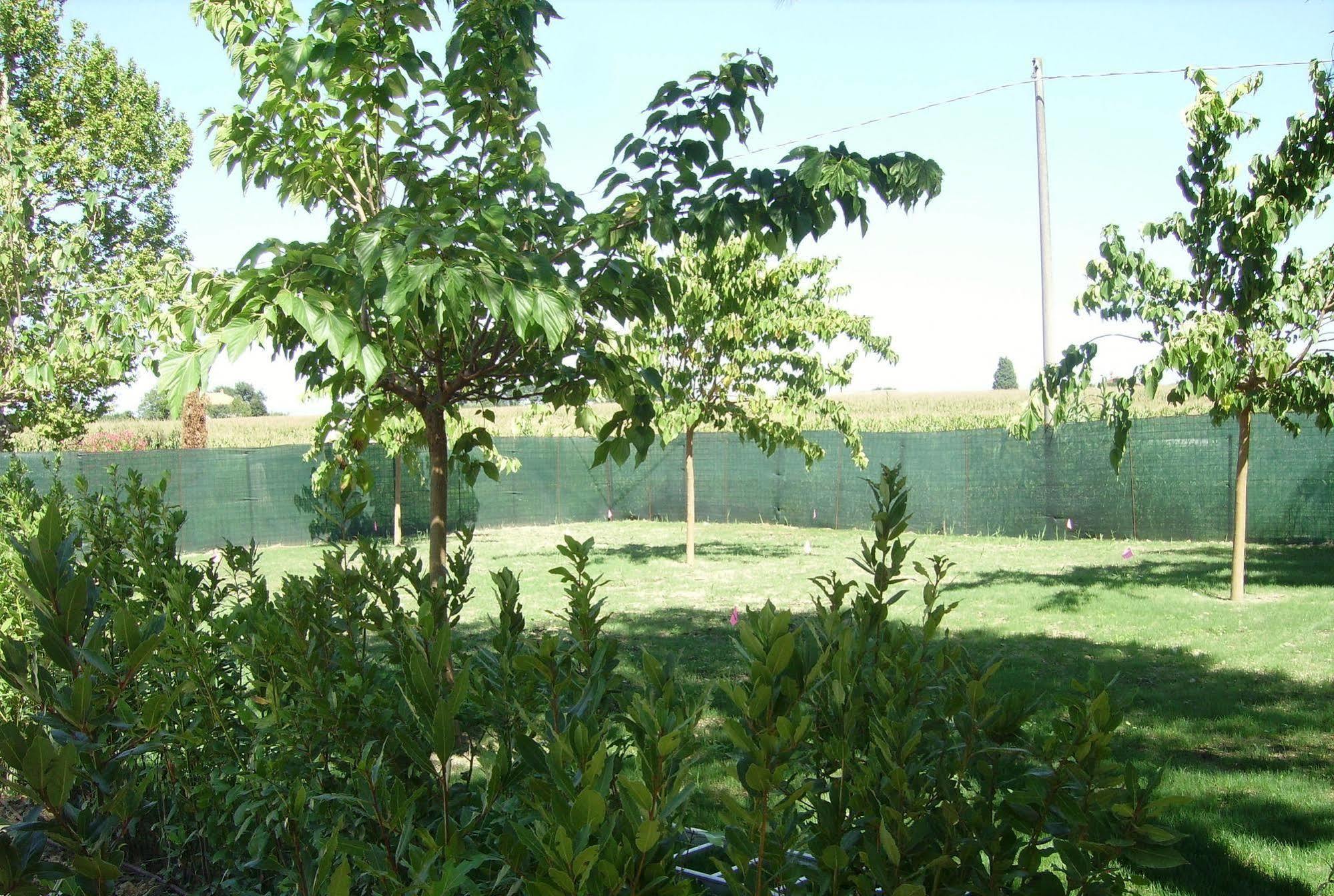 Agriturismo La Fonte Di San Girio Pensionat Potenza Picena Exteriör bild